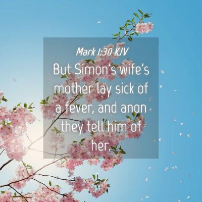 Picture 04 - Mark 1:30 KJV - But Simon's wife's mother lay sick of a fever, - Bible Verse Picture