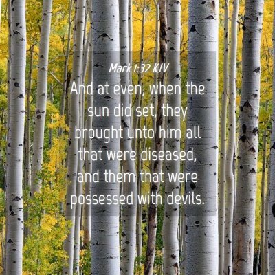 Picture 04 - Mark 1:32 KJV - And at even, when the sun did set, they brought - Bible Verse Picture