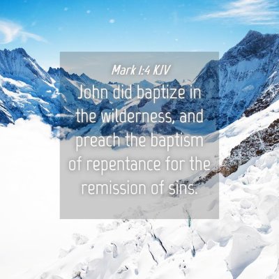 Picture 04 - Mark 1:4 KJV - John did baptize in the wilderness, and preach - Bible Verse Picture
