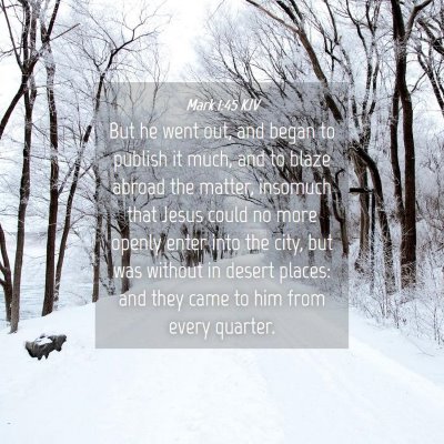 Picture 04 - Mark 1:45 KJV - But he went out, and began to publish it much, - Bible Verse Picture