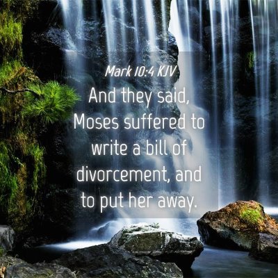 Picture 04 - Mark 10:4 KJV - And they said, Moses suffered to write a bill of - Bible Verse Picture
