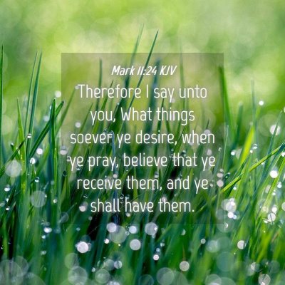 Picture 04 - Mark 11:24 KJV - Therefore I say unto you, What things soever ye - Bible Verse Picture