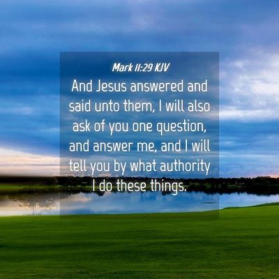 Picture 04 - Mark 11:29 KJV - And Jesus answered and said unto them, I will - Bible Verse Picture