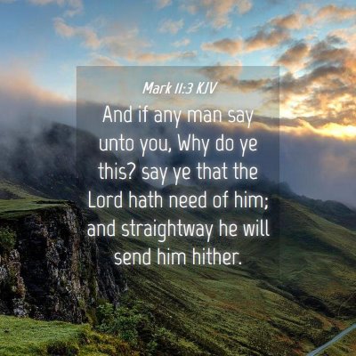 Picture 04 - Mark 11:3 KJV - And if any man say unto you, Why do ye this? say - Bible Verse Picture
