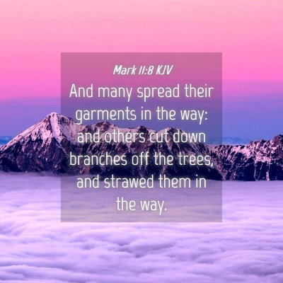 Picture 04 - Mark 11:8 KJV - And many spread their garments in the way: and - Bible Verse Picture