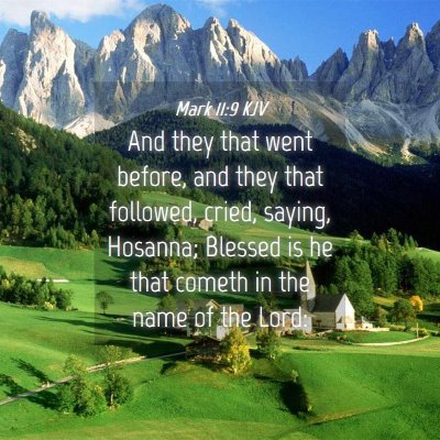 Picture 04 - Mark 11:9 KJV - And they that went before, and they that - Bible Verse Picture