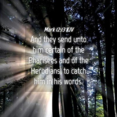 Picture 04 - Mark 12:13 KJV - And they send unto him certain of the Pharisees - Bible Verse Picture