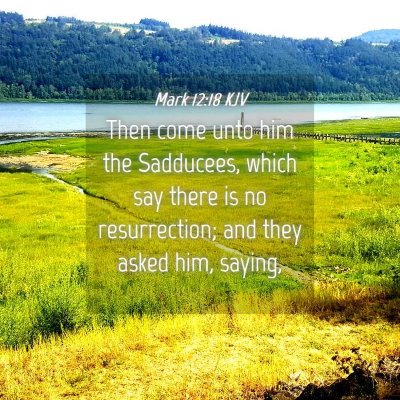 Picture 04 - Mark 12:18 KJV - Then come unto him the Sadducees, which say there - Bible Verse Picture
