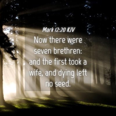 Picture 04 - Mark 12:20 KJV - Now there were seven brethren: and the first took - Bible Verse Picture