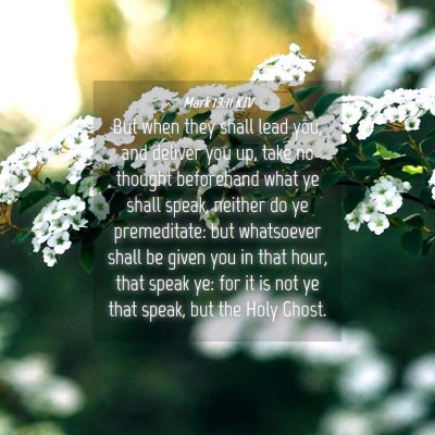 Picture 04 - Mark 13:11 KJV - But when they shall lead you, and deliver you up, - Bible Verse Picture