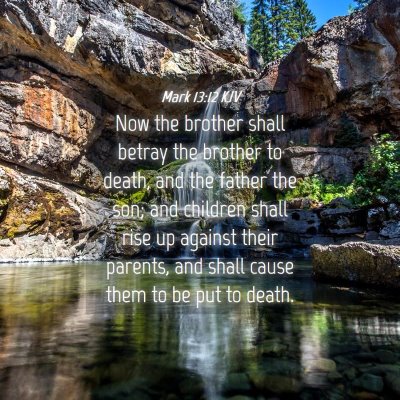 Picture 04 - Mark 13:12 KJV - Now the brother shall betray the brother to - Bible Verse Picture