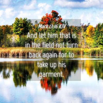 Picture 04 - Mark 13:16 KJV - And let him that is in the field not turn back - Bible Verse Picture