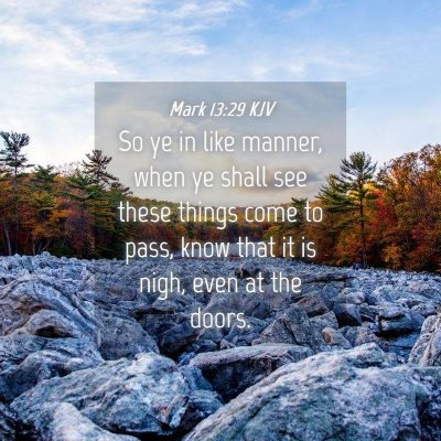 Picture 04 - Mark 13:29 KJV - So ye in like manner, when ye shall see these - Bible Verse Picture