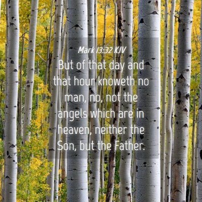 Picture 04 - Mark 13:32 KJV - But of that day and that hour knoweth no man, no, - Bible Verse Picture