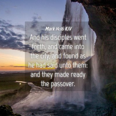 Picture 04 - Mark 14:16 KJV - And his disciples went forth, and came into the - Bible Verse Picture