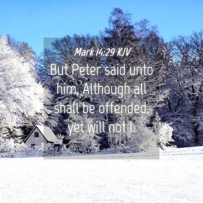 Picture 04 - Mark 14:29 KJV - But Peter said unto him, Although all shall be - Bible Verse Picture