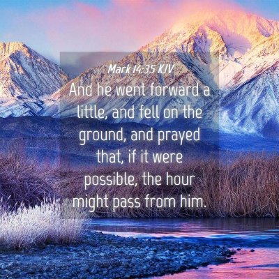 Picture 04 - Mark 14:35 KJV - And he went forward a little, and fell on the - Bible Verse Picture