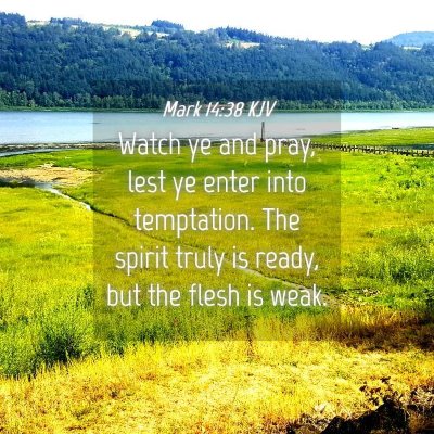 Picture 04 - Mark 14:38 KJV - Watch ye and pray, lest ye enter into temptation. - Bible Verse Picture
