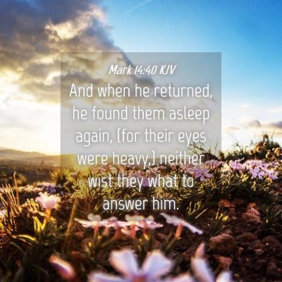 Picture 04 - Mark 14:40 KJV - And when he returned, he found them asleep again, - Bible Verse Picture