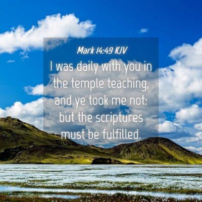 Picture 04 - Mark 14:49 KJV - I was daily with you in the temple teaching, and - Bible Verse Picture