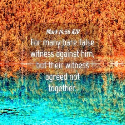 Picture 04 - Mark 14:56 KJV - For many bare false witness against him, but - Bible Verse Picture
