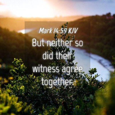 Picture 04 - Mark 14:59 KJV - But neither so did their witness agree - Bible Verse Picture