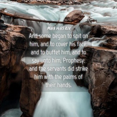 Picture 04 - Mark 14:65 KJV - And some began to spit on him, and to cover his - Bible Verse Picture