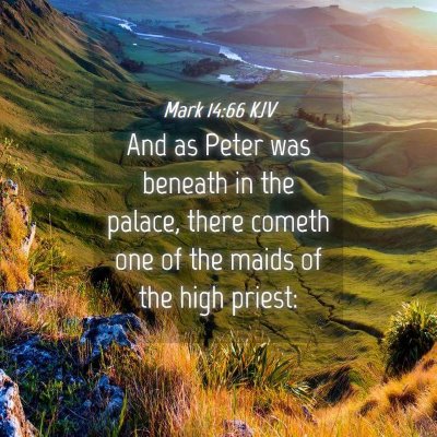 Picture 04 - Mark 14:66 KJV - And as Peter was beneath in the palace, there - Bible Verse Picture