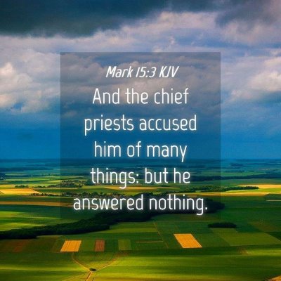 Picture 04 - Mark 15:3 KJV - And the chief priests accused him of many things: - Bible Verse Picture
