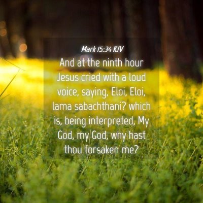Picture 04 - Mark 15:34 KJV - And at the ninth hour Jesus cried with a loud - Bible Verse Picture