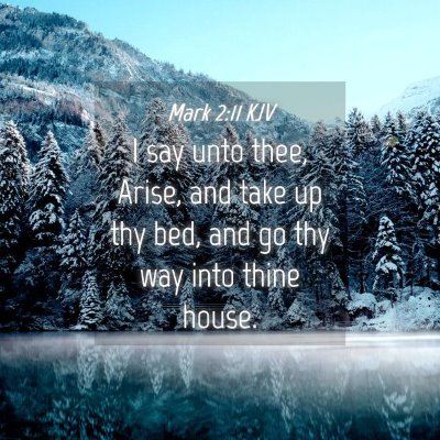 Picture 04 - Mark 2:11 KJV - I say unto thee, Arise, and take up thy bed, and - Bible Verse Picture