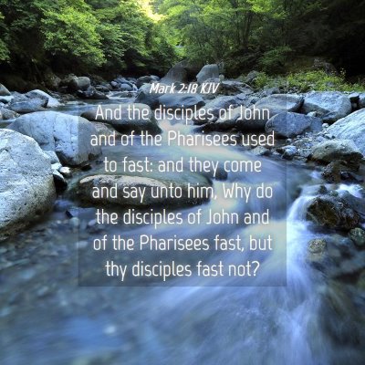 Picture 04 - Mark 2:18 KJV - And the disciples of John and of the Pharisees - Bible Verse Picture