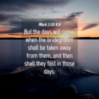 Picture 04 - Mark 2:20 KJV - But the days will come, when the bridegroom shall - Bible Verse Picture