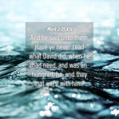 Picture 04 - Mark 2:25 KJV - And he said unto them, Have ye never read what - Bible Verse Picture