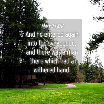 Picture 04 - Mark 3:1 KJV - And he entered again into the synagogue; and - Bible Verse Picture