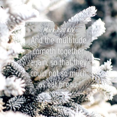 Picture 04 - Mark 3:20 KJV - And the multitude cometh together again, so that - Bible Verse Picture