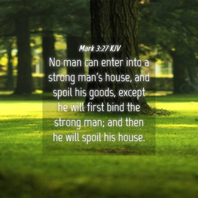 Picture 04 - Mark 3:27 KJV - No man can enter into a strong man's house, and - Bible Verse Picture