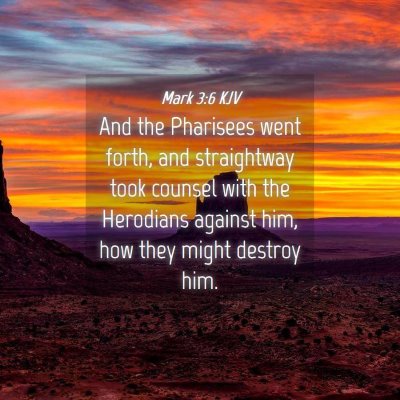 Picture 04 - Mark 3:6 KJV - And the Pharisees went forth, and straightway - Bible Verse Picture