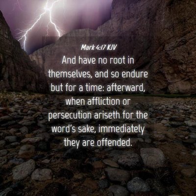 Picture 04 - Mark 4:17 KJV - And have no root in themselves, and so endure but - Bible Verse Picture