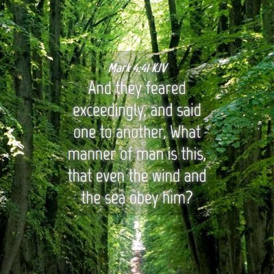 Picture 04 - Mark 4:41 KJV - And they feared exceedingly, and said one to - Bible Verse Picture