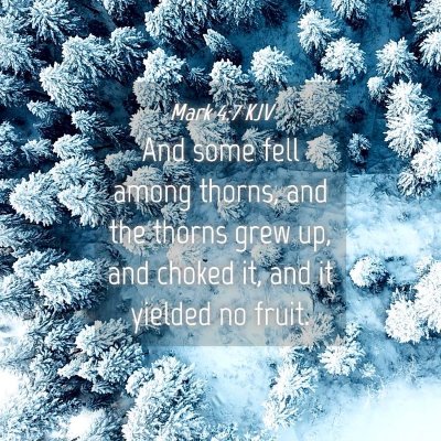 Picture 04 - Mark 4:7 KJV - And some fell among thorns, and the thorns grew - Bible Verse Picture