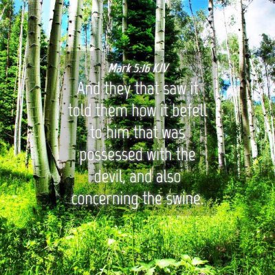 Picture 04 - Mark 5:16 KJV - And they that saw it told them how it befell to - Bible Verse Picture