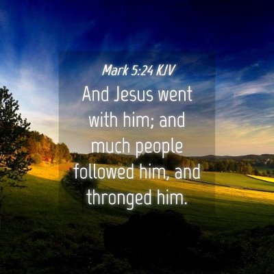 Picture 04 - Mark 5:24 KJV - And Jesus went with him; and much people followed - Bible Verse Picture
