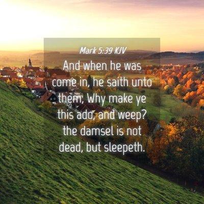 Picture 04 - Mark 5:39 KJV - And when he was come in, he saith unto them, Why - Bible Verse Picture