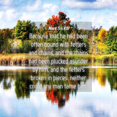 Picture 04 - Mark 5:4 KJV - Because that he had been often bound with fetters - Bible Verse Picture
