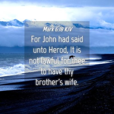 Picture 04 - Mark 6:18 KJV - For John had said unto Herod, It is not lawful - Bible Verse Picture