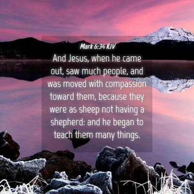 Picture 04 - Mark 6:34 KJV - And Jesus, when he came out, saw much people, and - Bible Verse Picture