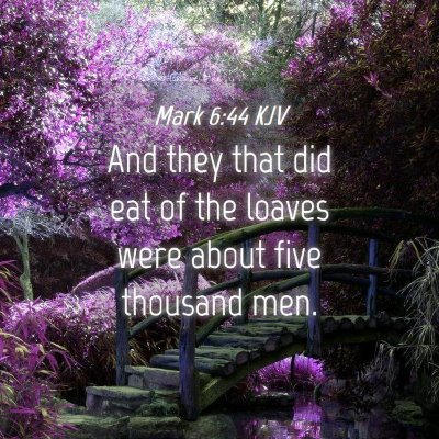Picture 04 - Mark 6:44 KJV - And they that did eat of the loaves were about - Bible Verse Picture