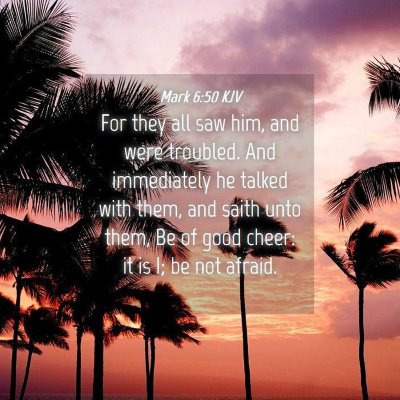 Picture 04 - Mark 6:50 KJV - For they all saw him, and were troubled. And - Bible Verse Picture