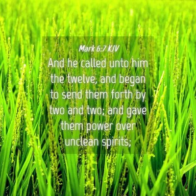 Picture 04 - Mark 6:7 KJV - And he called unto him the twelve, and began to - Bible Verse Picture
